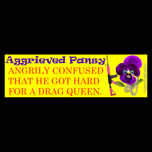 "Angrily Confused" 10 x 3 in. Car Magnets