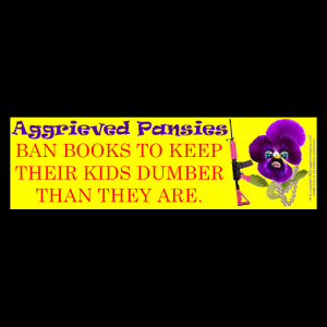 "Ban Books" 10 x 3 in. Car Magnets
