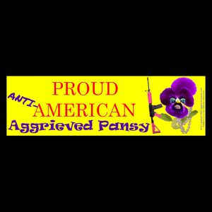 "Proud Anti-American" 7 x 2 in. Car Magnets